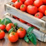 как хранить помидоры
