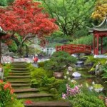 японский сад фото